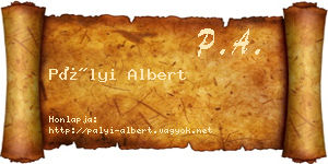Pályi Albert névjegykártya